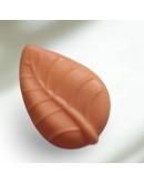 Muilas MANDARINAS